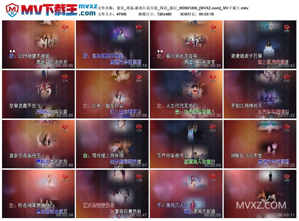 董真_霄磊-新春江花月夜_国语_流行_MD501200